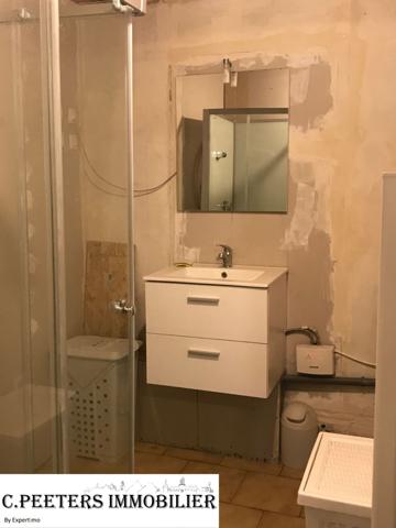 Leforest (62790) À vendre à Leforest : immeuble avec 9 appartements studio, F1 et 2 annexes travaux, à finir et une surface com