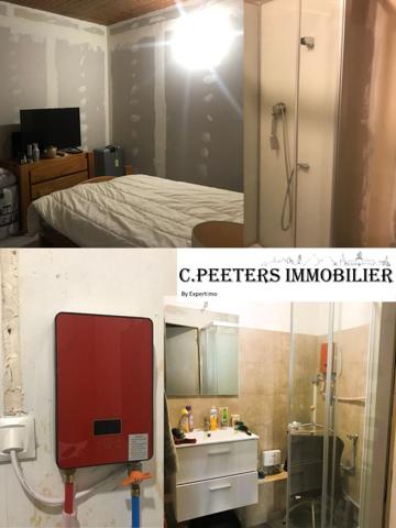 Leforest (62790) À vendre à Leforest : immeuble avec 9 appartements studio, F1 et 2 annexes travaux, à finir et une surface com