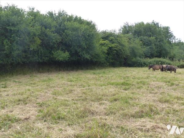 SAINT SYMPHORIEN LE VALOIS