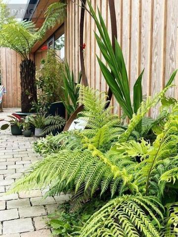 Maison restaurée à vendre à Blainville-sur-Mer dans la Manche (50560), ref : 50069/13