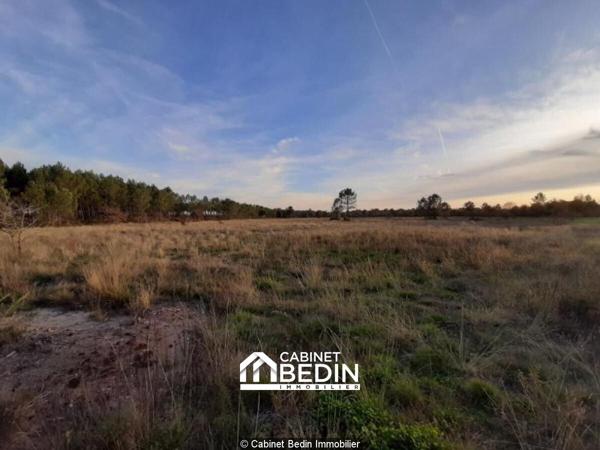 Achat Terrain Gujan Mestras