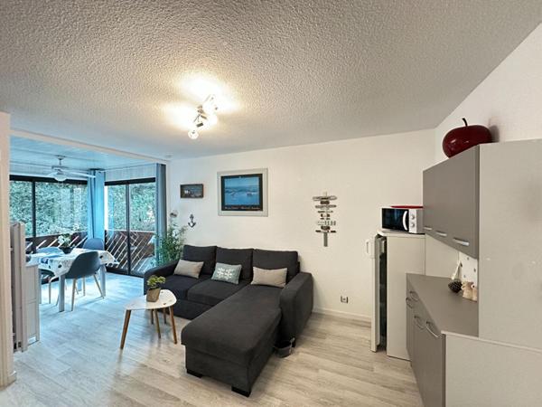 Magnifique appartement Saint Georges De Didonne 31.5  m2   200 M Plage