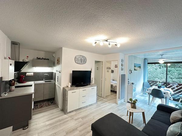 Magnifique appartement Saint Georges De Didonne 31.5  m2   200 M Plage
