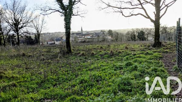 Terrain à vendre 10 688 m² Montrevault-sur-Èvre