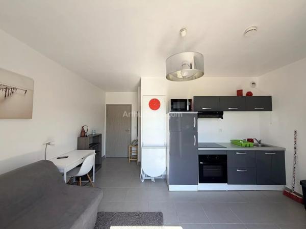 Vente                                                      Appartement
                        
                     1 pièces                      22 m2                     à Corte
