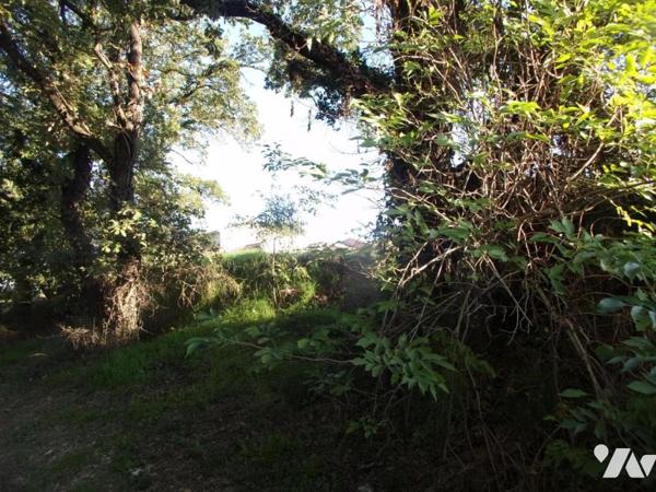 Terrain à bâtir de 733 m² TAVEL