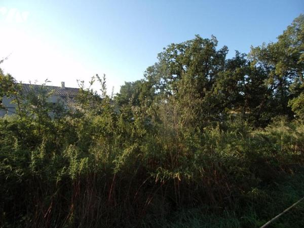 Terrain à bâtir de 733 m² TAVEL