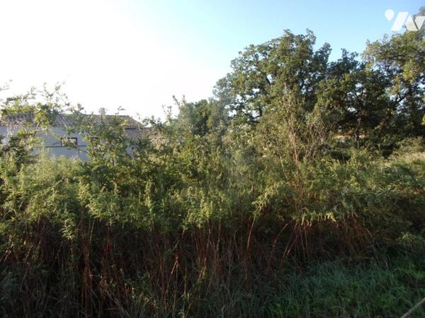 Terrain à bâtir de 733 m² TAVEL