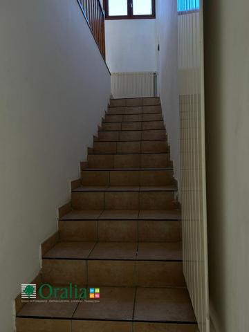 Appartement · Location Saint Cyr Au Mont D Or (69450) 3 pièces · 69m²