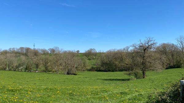Maison de campagne à fort potentiel –  5 chambres - dépendances- VASSY-SOUS-PISY(89)