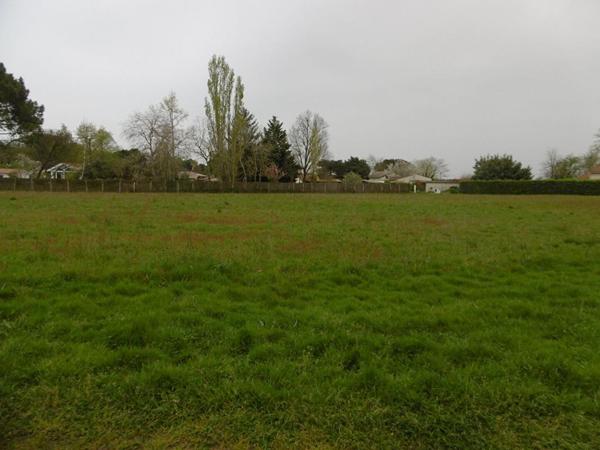 Terrain 2300 m2