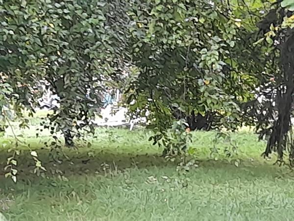 JOLI TERRAIN A BATIR CLOS, PLAT ET VIABILISE DE 770 M² ENVIRON SUR 16 ML DE FACADE A GOINCOURT Goincourt (60000)