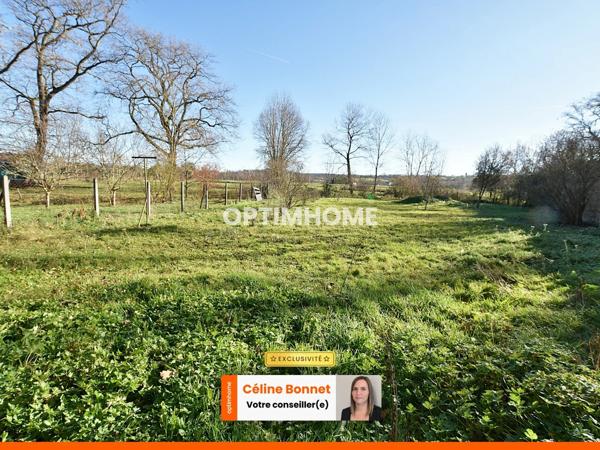 Maison + dépendances + terrain