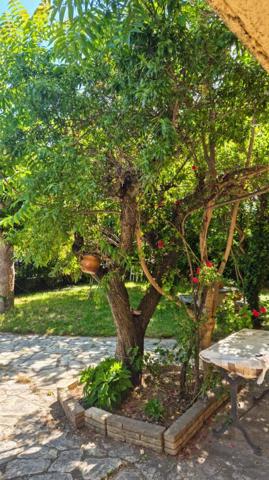 AVIGNON  Maison familiale  6 pièces  169 m²    339 000