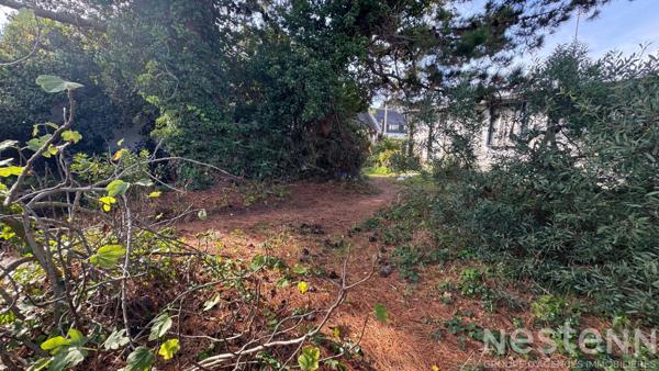 Vente terrain constructible viabilisé de 510 m² à 300 mètres des plages de la baie !