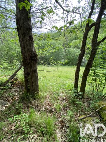 Terrain à vendre 8 141 m² Villefranche-de-Panat