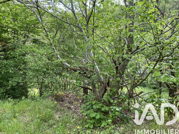 Terrain à vendre 8 141 m² Villefranche-de-Panat