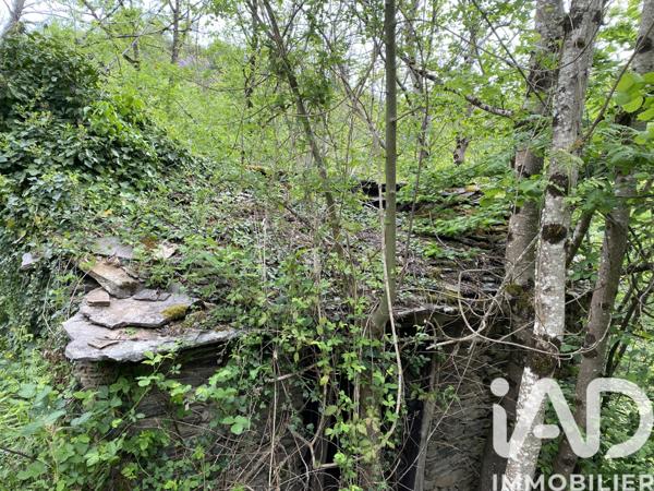 Terrain à vendre 8 141 m² Villefranche-de-Panat