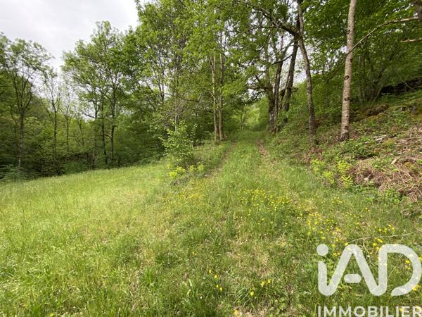 Terrain à vendre 8 141 m² Villefranche-de-Panat