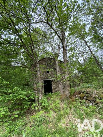 Terrain à vendre 8 141 m² Villefranche-de-Panat