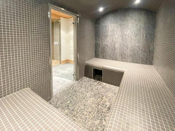 Chalet à vendre à Saint-Martin-de-Belleville (73440) - Savoie