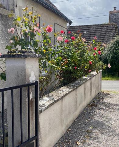 Maison Chatillon Sur Indre 5 pièce(s) 121 m2