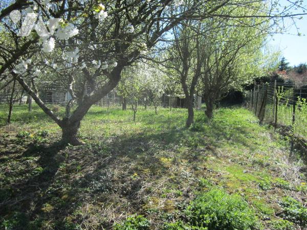 maison de 109 m2 3 chambres dont 2 en rez de chaussée