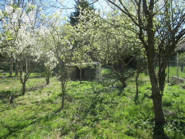 maison de 109 m2 3 chambres dont 2 en rez de chaussée