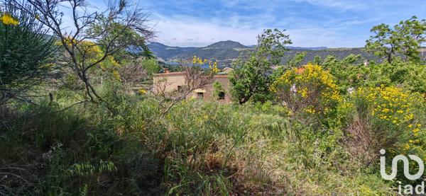Terrain à vendre 456 m² Caramany