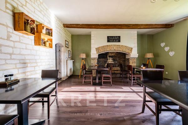 Demeure historique d'exception de 295 m2-Parc 2000 m2- Aube