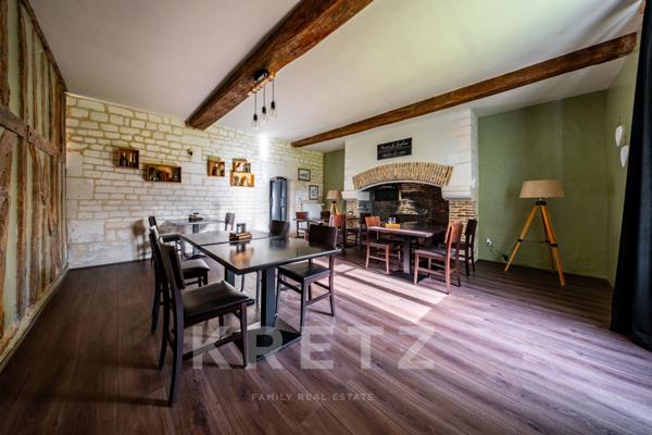 Demeure historique d'exception de 295 m2-Parc 2000 m2- Aube