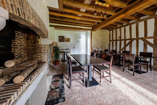 Demeure historique d'exception de 295 m2-Parc 2000 m2- Aube