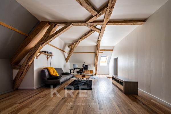 Demeure historique d'exception de 295 m2-Parc 2000 m2- Aube