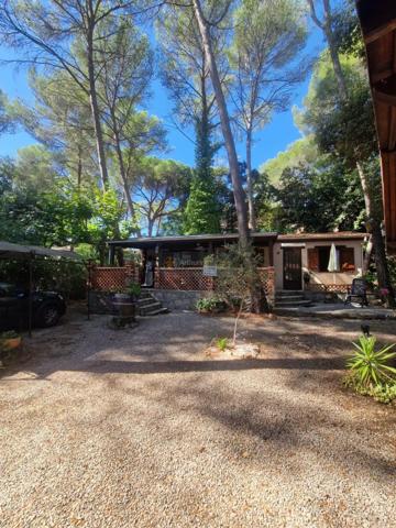 Vente                                                      Terrain
                        
                                         385 m2                     à Fréjus