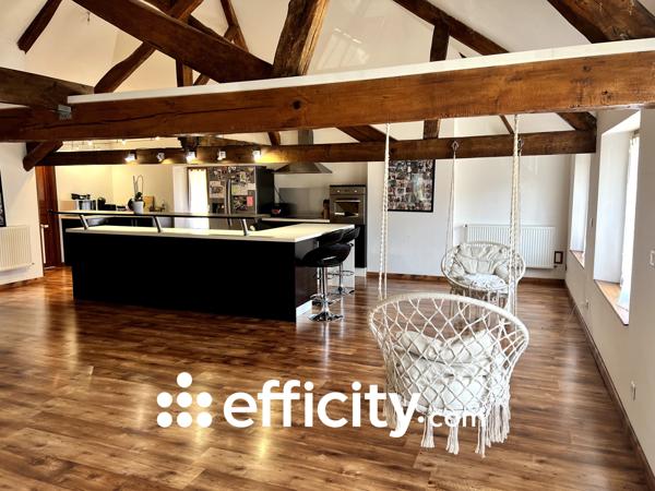 Maison 10 pièces - 266 m² Exclusivité efficity