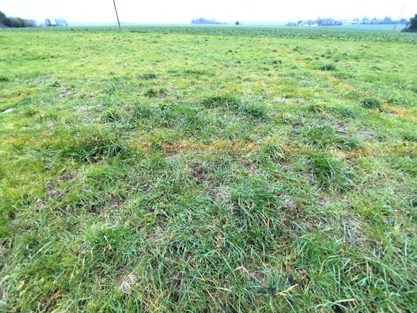 Local Commercial 1 pièce - 73 m²