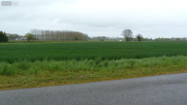 Terrain à Batir à vendre à Lamagistère dans le Tarn-et-Garonne (82360), ref : 1464