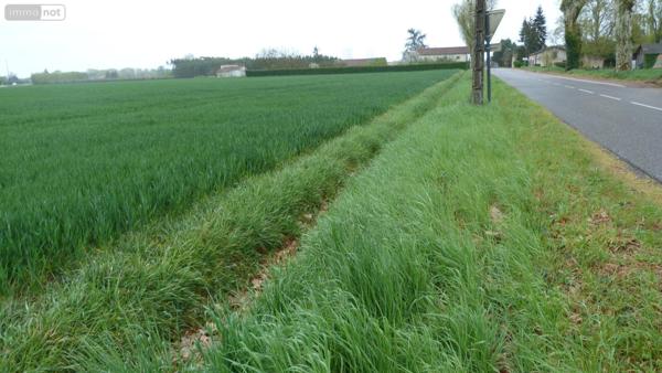 Terrain à Batir à vendre à Lamagistère dans le Tarn-et-Garonne (82360), ref : 1464