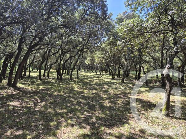 Terrain à vendre  1000 m 2   SOMMIERES  - 30