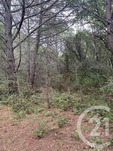 Terrain à vendre  1000 m 2   SOMMIERES  - 30