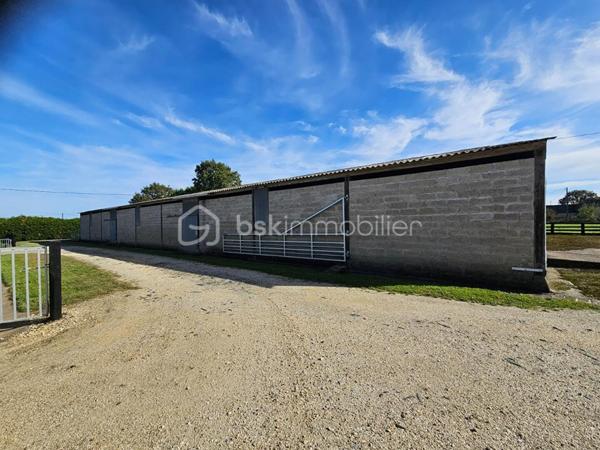 Terrain de 200 000 m²