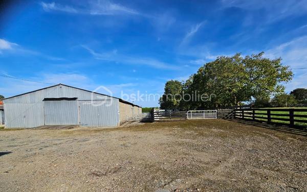 Terrain de 200 000 m²