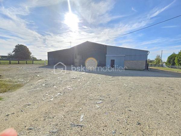 Terrain de 200 000 m²