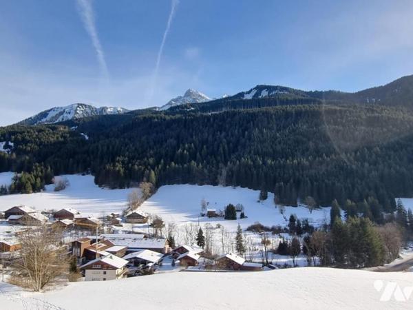 Chalet hors d'eau hors d'air Abondance
