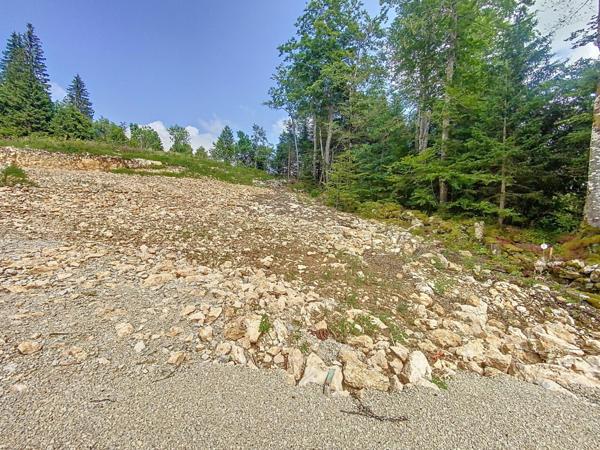 Terrain constructible viabilisé de 662m2