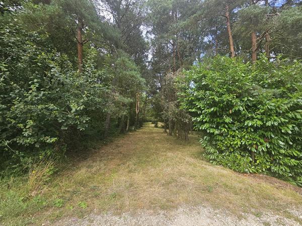 Superbe Étang de 5 000 m2 sur une parcelle de 2 ha de terres et de bois !