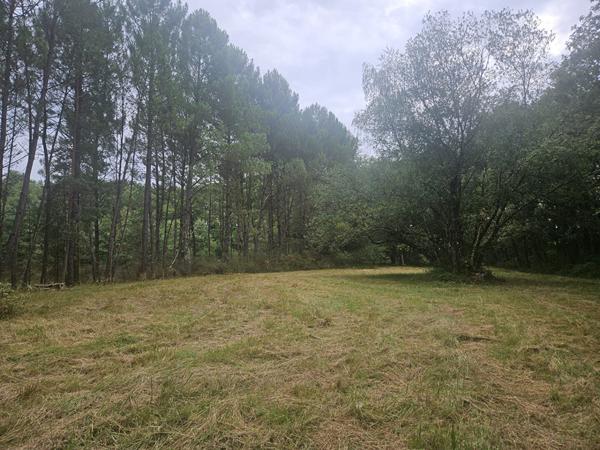 Superbe Étang de 5 000 m2 sur une parcelle de 2 ha de terres et de bois !