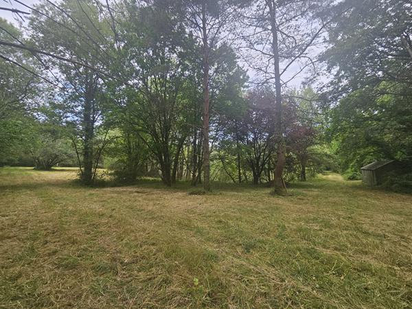 Superbe Étang de 5 000 m2 sur une parcelle de 2 ha de terres et de bois !