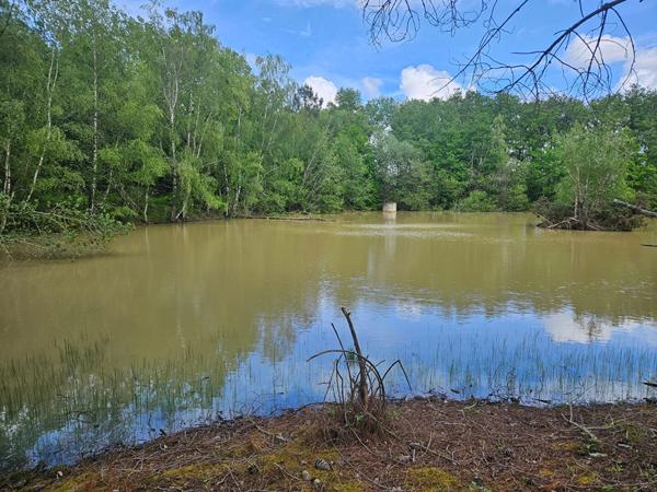 Superbe Étang de 5 000 m2 sur une parcelle de 2 ha de terres et de bois !