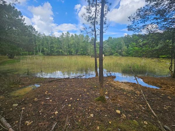 Superbe Étang de 5 000 m2 sur une parcelle de 2 ha de terres et de bois !